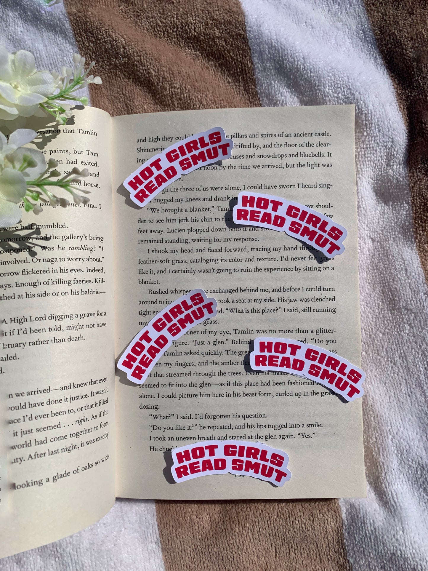 Hot Girls Read Smut Sticker