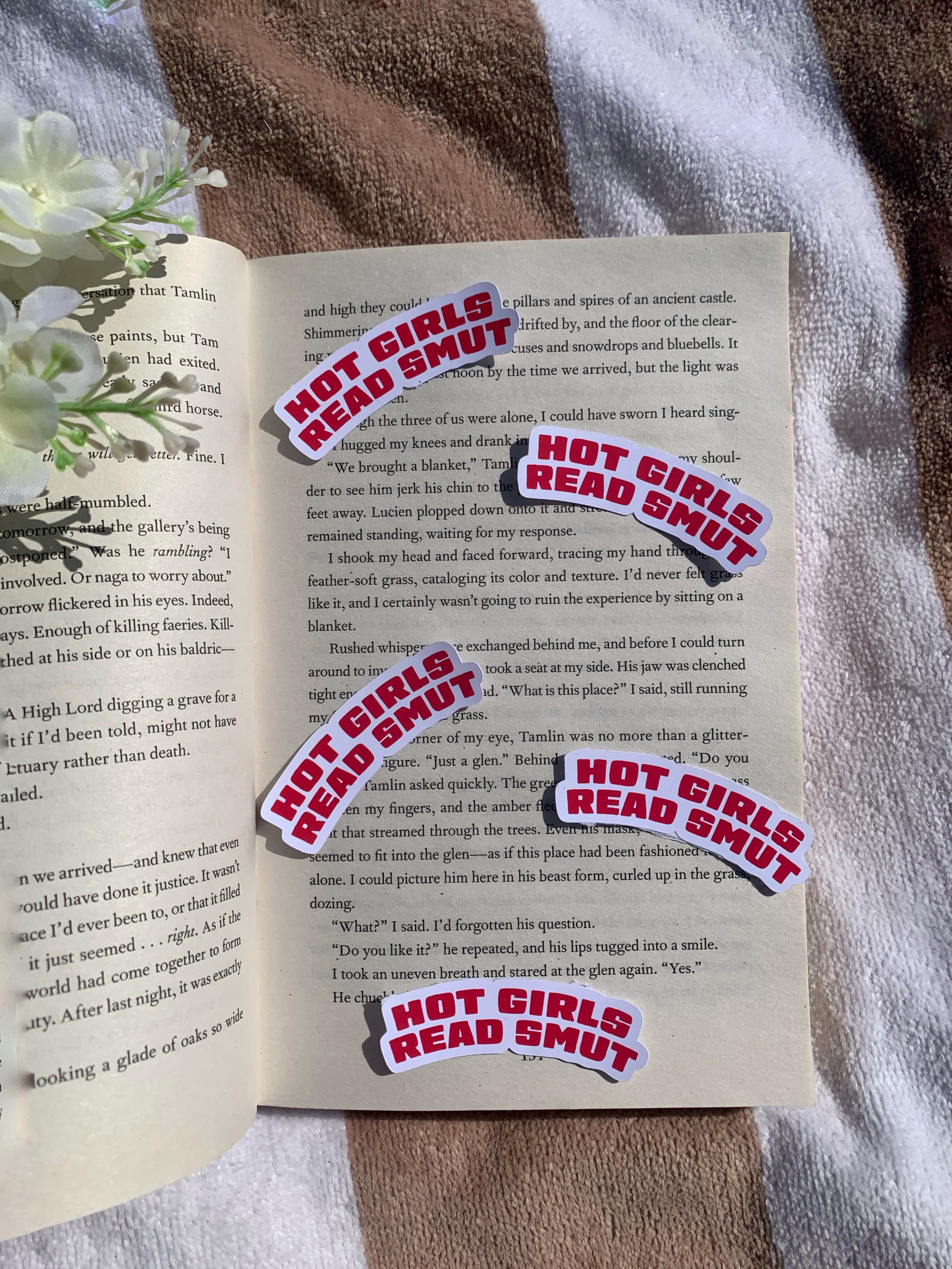 Hot Girls Read Smut Sticker